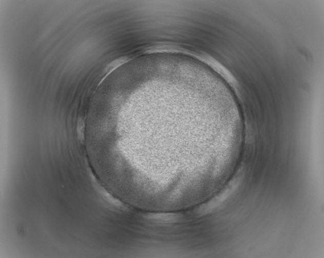 X0000113990953200910161643