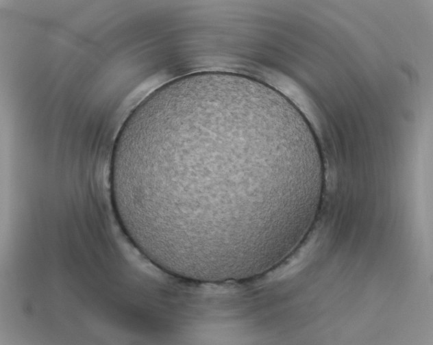 X0000113990954200910161643