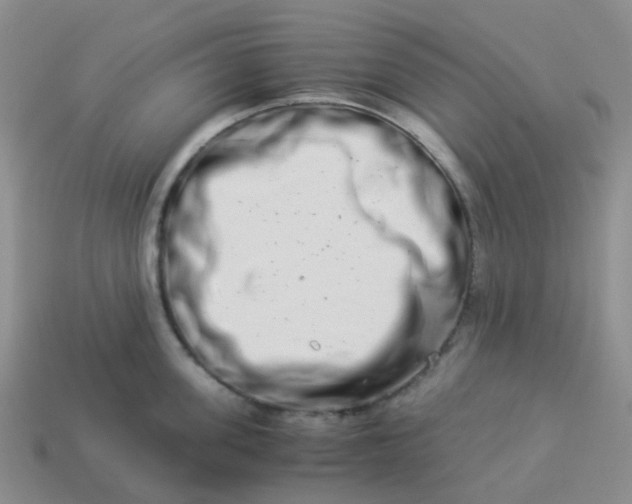 X0000113990955200910161643