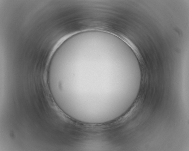 X0000113990956200910161644