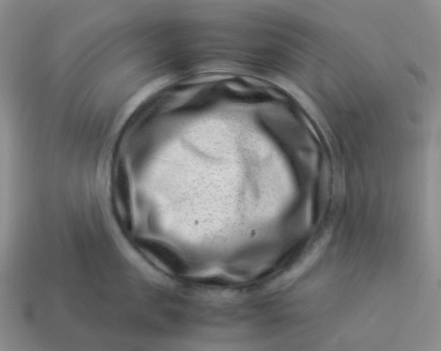 X0000113990957200910161644