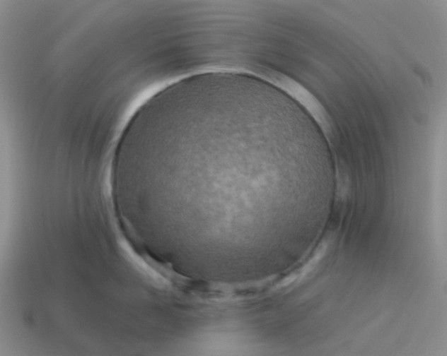 X0000113990958200910161644