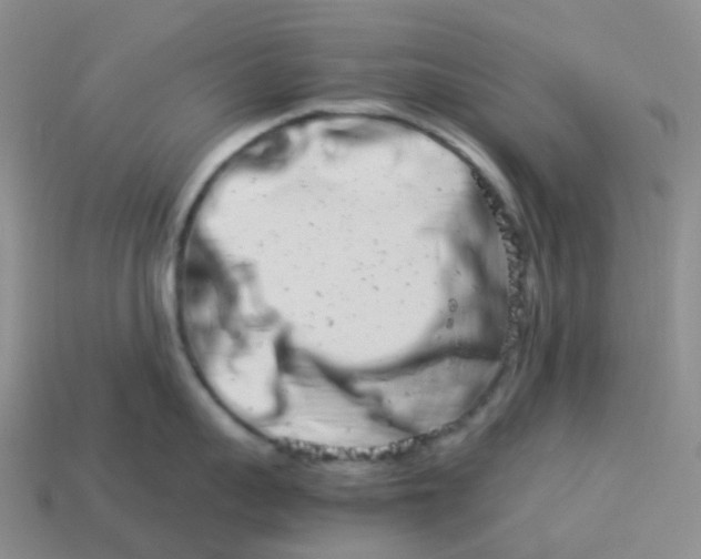 X0000113990959200910161644