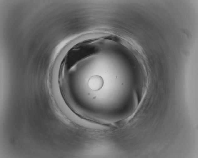 X0000113990960200910161644