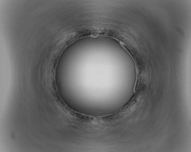 X0000113990961200910161643