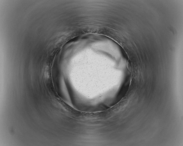 X0000113990962200910161643