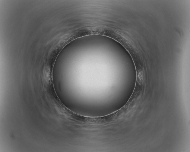 X0000113990963200910161643