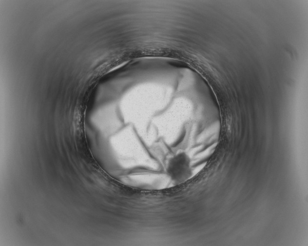 X0000113990964200910161643