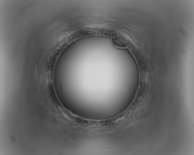 X0000113990965200910161643