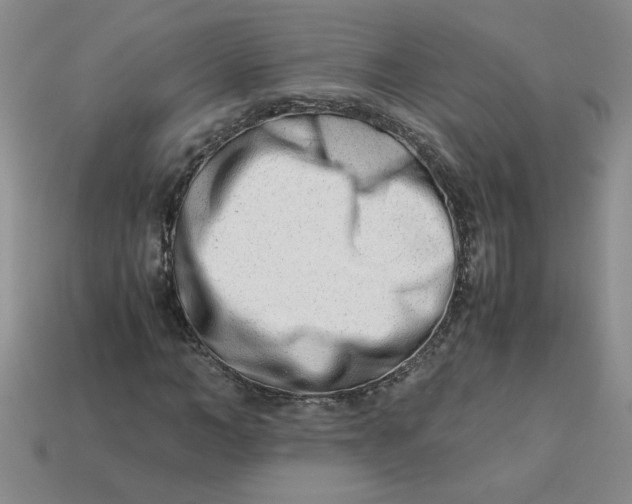 X0000113990966200910161643