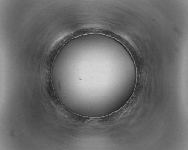 X0000113990967200910161643