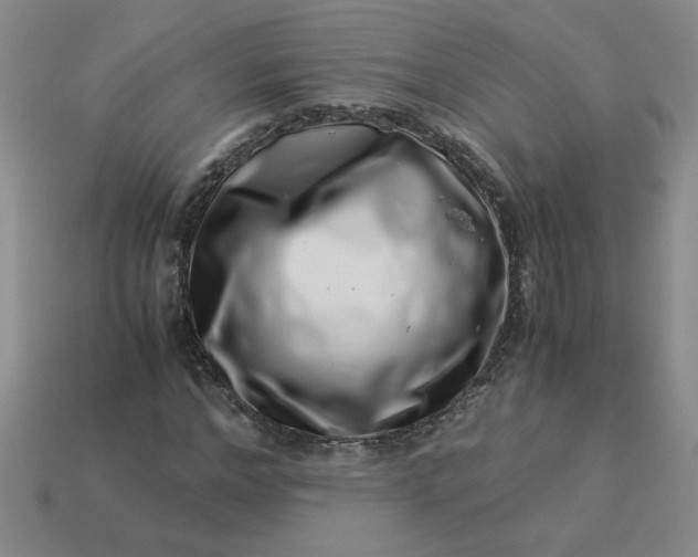 X0000113990968200910161643