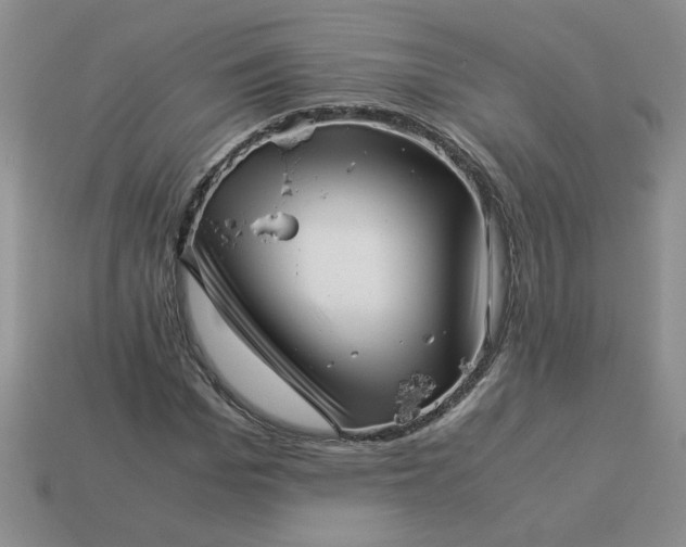 X0000113990969200910161643