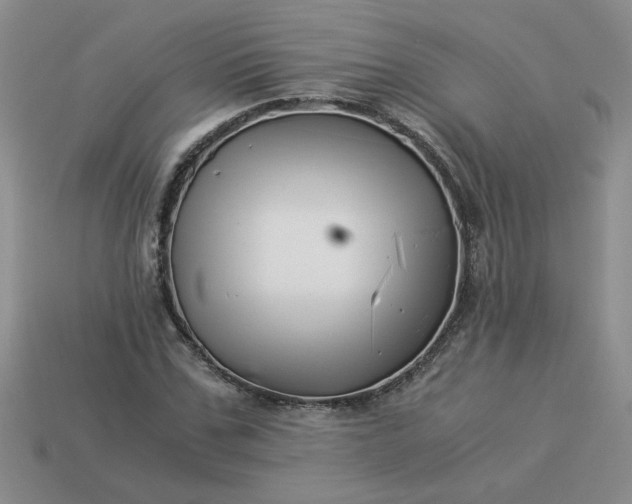 X0000113990971200910161643