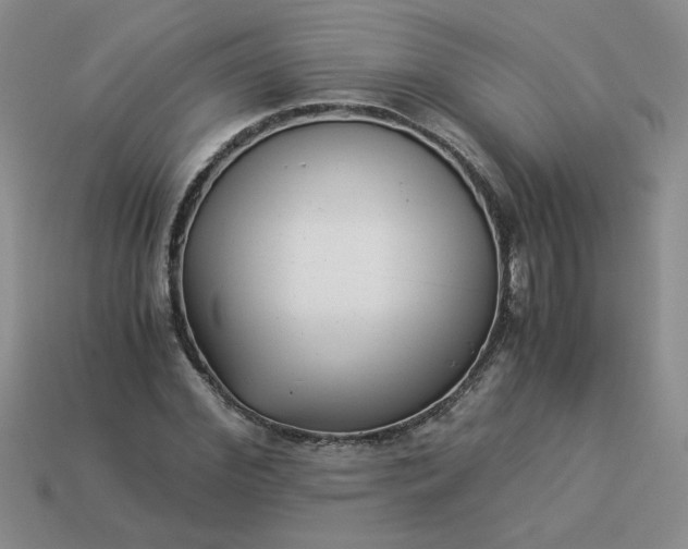 X0000113990972200910161643