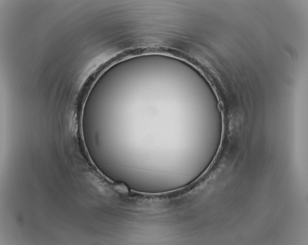 X0000113990973200910161643