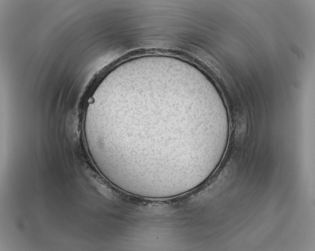 X0000113990974200910161643