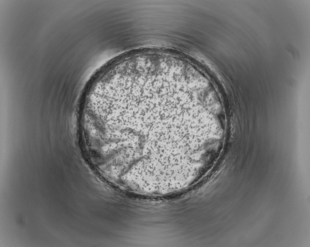 X0000113990975200910161643