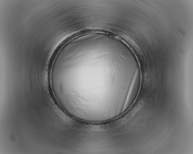 X0000113990976200910161643