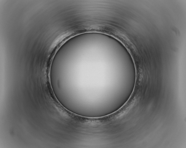 X0000113990978200910161643