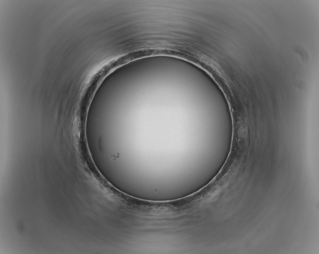 X0000113990979200910161643