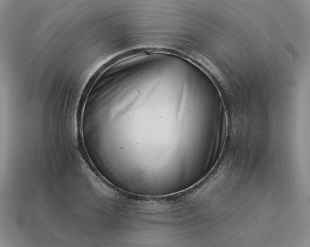 X0000113990980200910161643