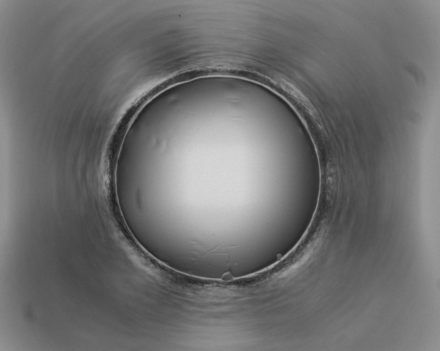 X0000113990981200910161643