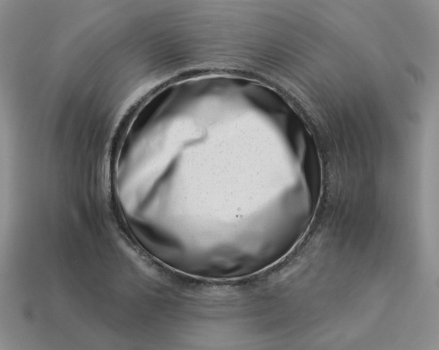 X0000113990982200910161643