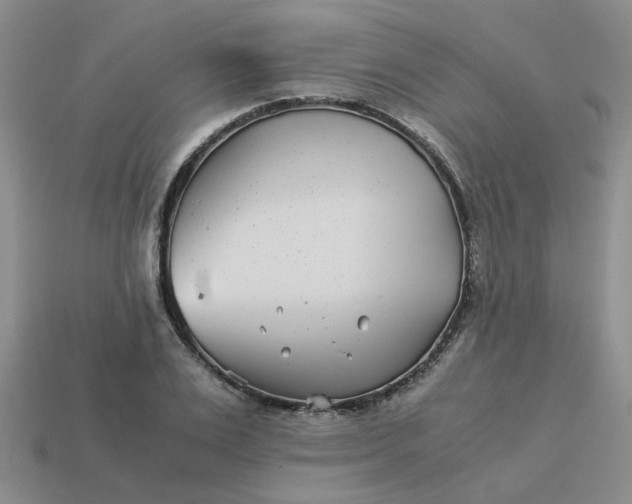 X0000113990983200910161643