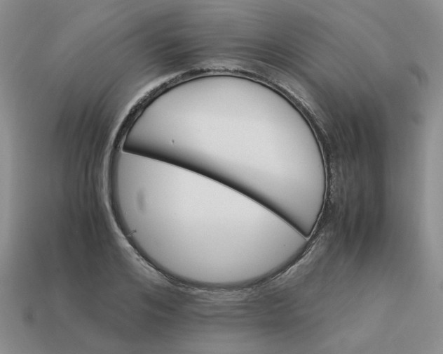 X0000113990984200910161643