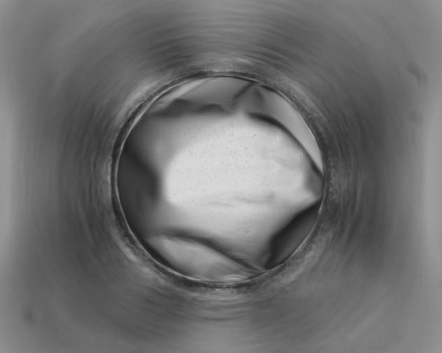 X0000113990986200910161642