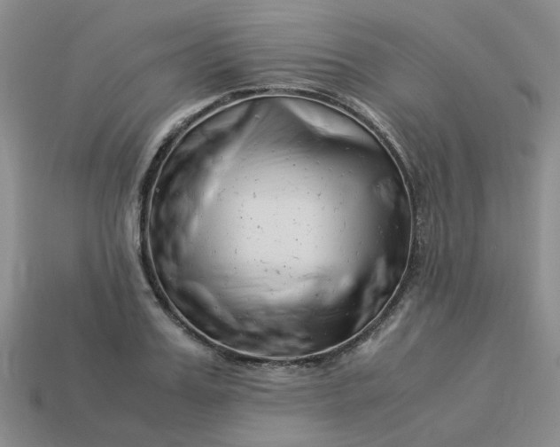 X0000113990987200910161642