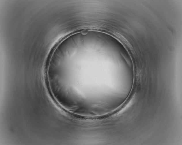 X0000113990989200910161642