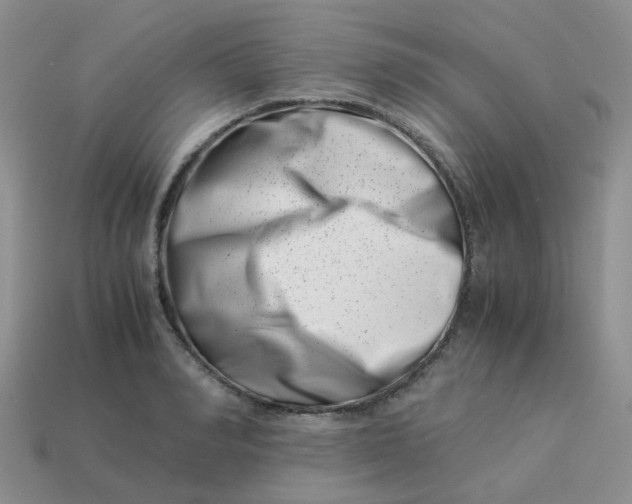 X0000113990990200910161642