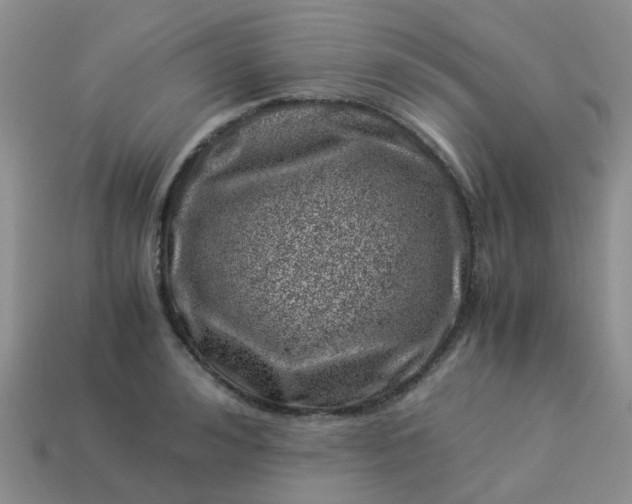 X0000113990992200910161642