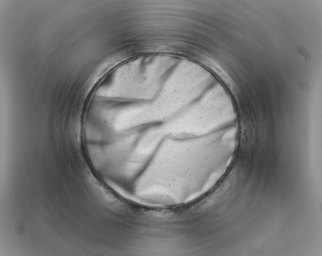 X0000113990994200910161642