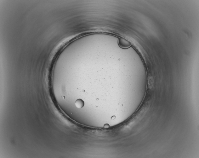 X0000113990995200910161642