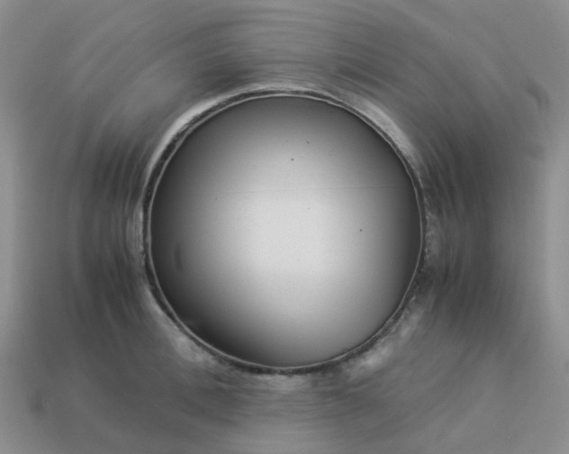 X0000113990996200910161642