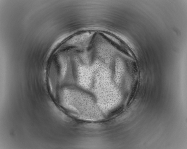 X0000113990998200910161642