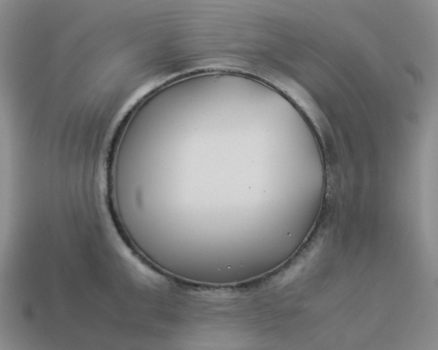 X0000113990999200910161642