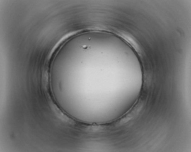 X0000113991000200910161642