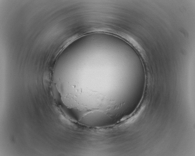 X0000113991001200910161642