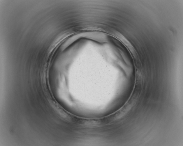 X0000113991002200910161642