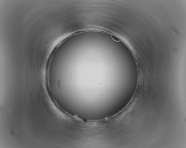 X0000113991003200910161642