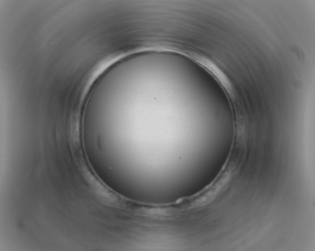 X0000113991004200910161642