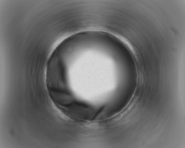 X0000113991006200910161642