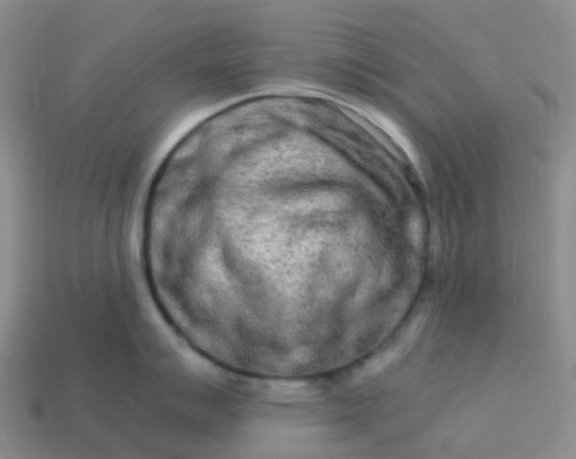 X0000113991007200910161642