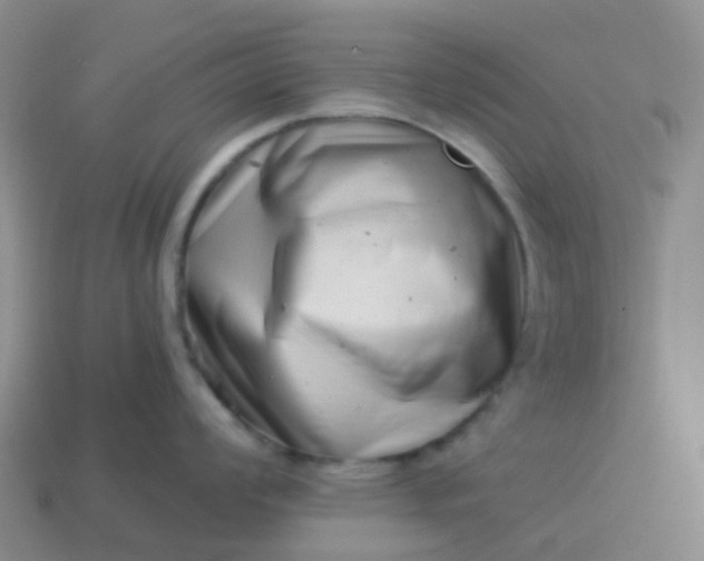 X0000113991008200910161642