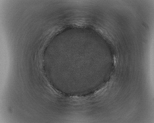 X0000113991009200910161641