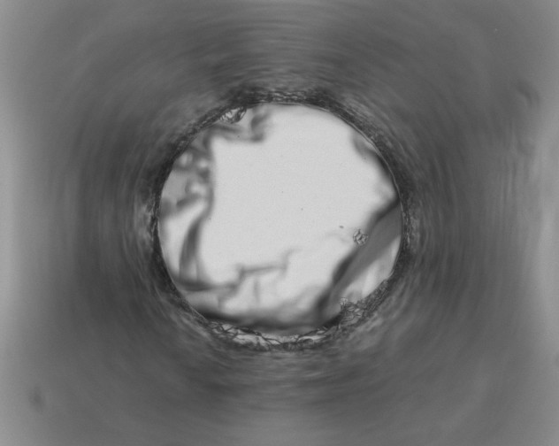 X0000113991010200910161642